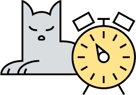 Online educational platform The Study Buddy offering tailored tutoring and learning resources to help students improve their academic performance.