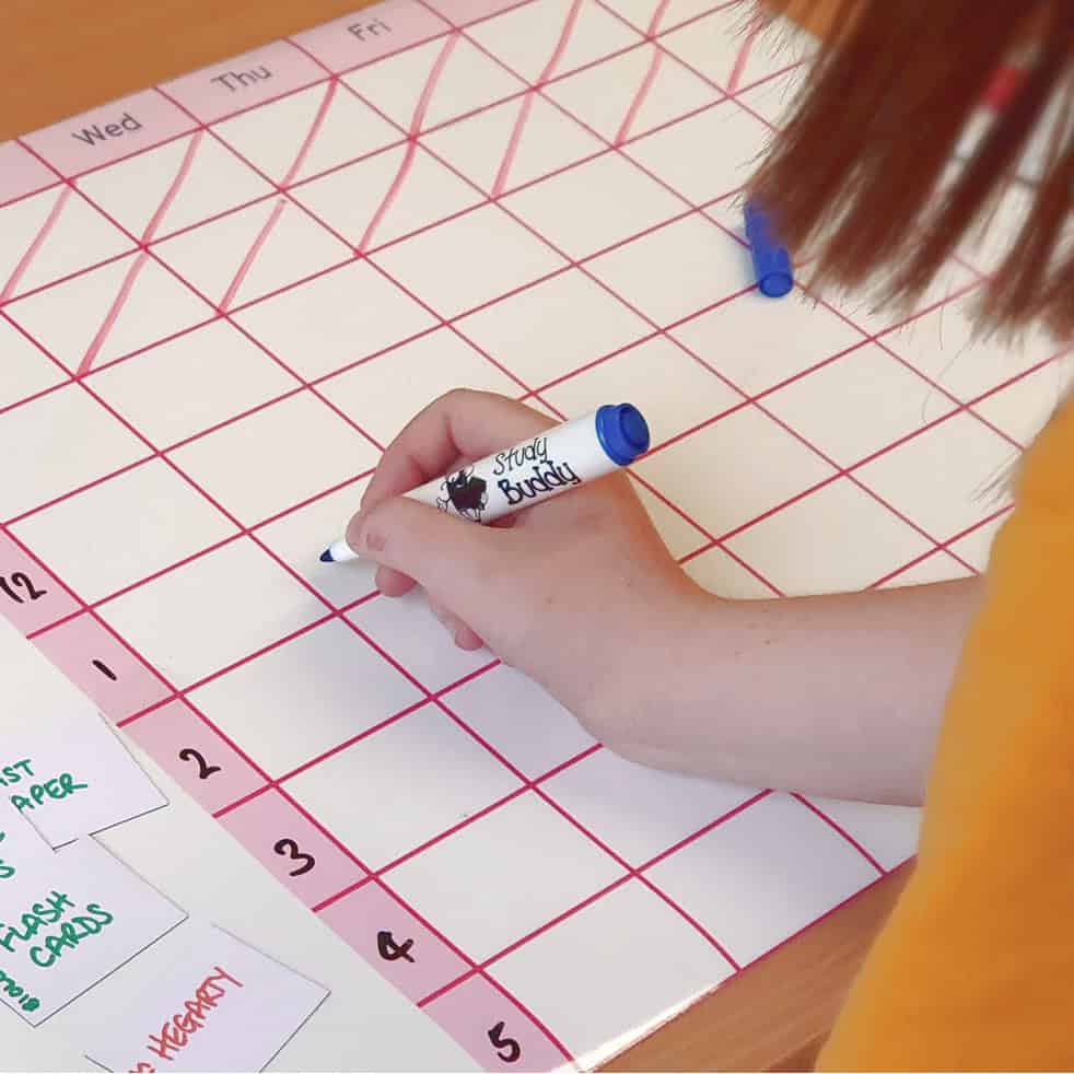 Calendar planning with a weekly timetable for students, featuring the Study Buddy website logo on a marker.