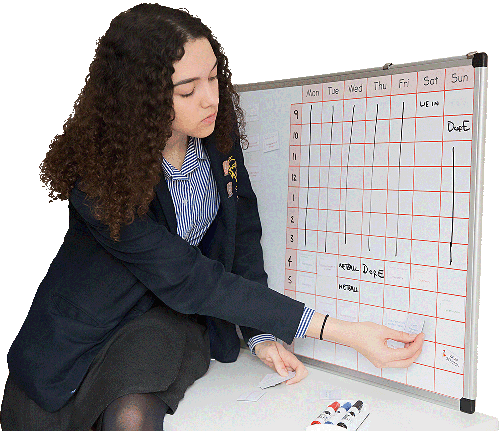 A young student in a school uniform organising her timetable on a whiteboard, demonstrating The Study Buddy website’s focus on personalised study planning tools.